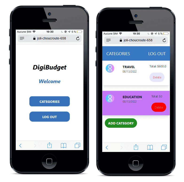 Digi-Budget project